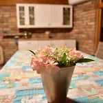 Ferienhaus Gyoember Tanya Ásotthalom