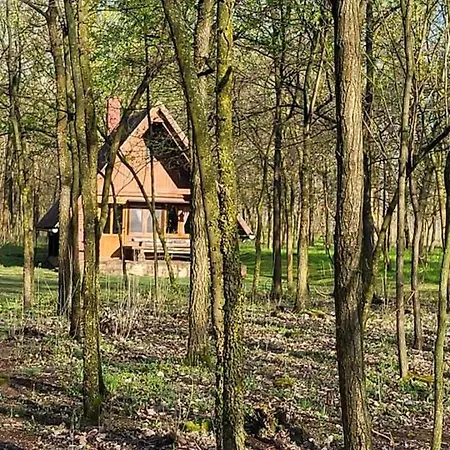 Prázdninový dům Gyoember Tanya Ásotthalom