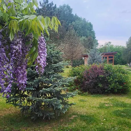 Gyoember Tanya Asotthalom