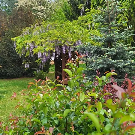 別荘 Gyoember Tanya