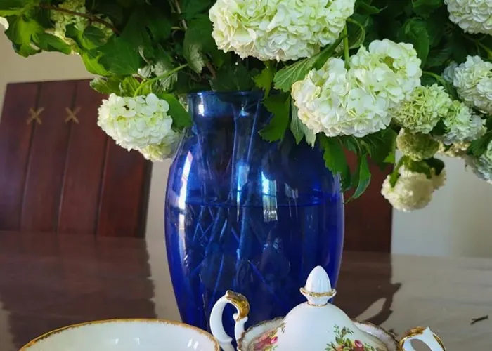 別荘 Gyoember Tanya *