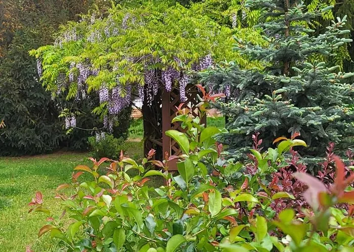 別荘 Gyoember Tanya