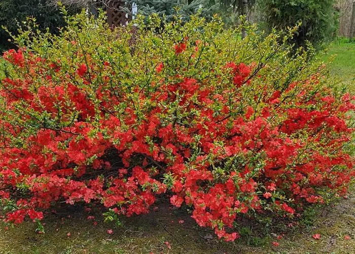 Gyoember Tanya 別荘 Ásotthalom