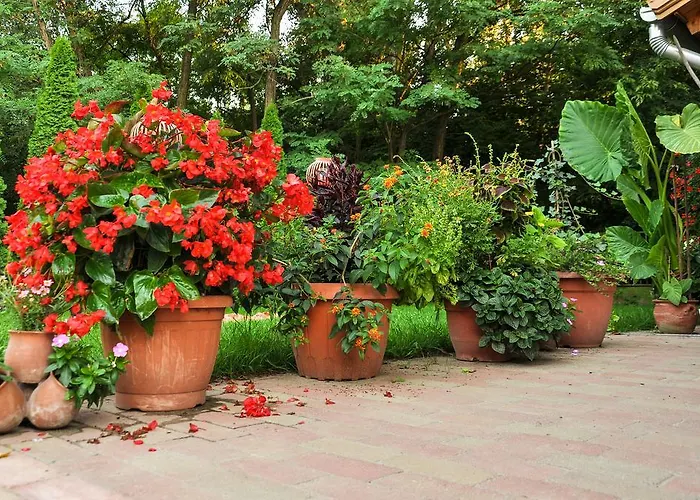 Gyoember Tanya 別荘 *