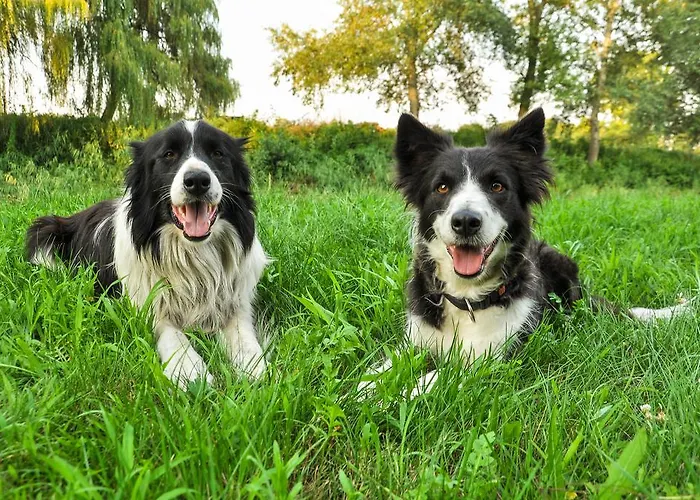 Gyoember Tanya 別荘